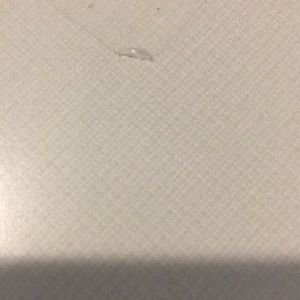 Meet your Posher, Paula